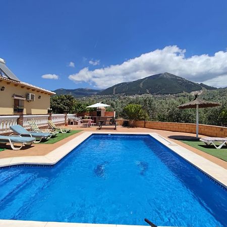 Los Olivos Malaga Bagian luar foto